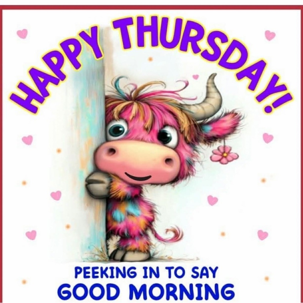 Happy Thursday Pink Rainbow Cartoon Cow Print
